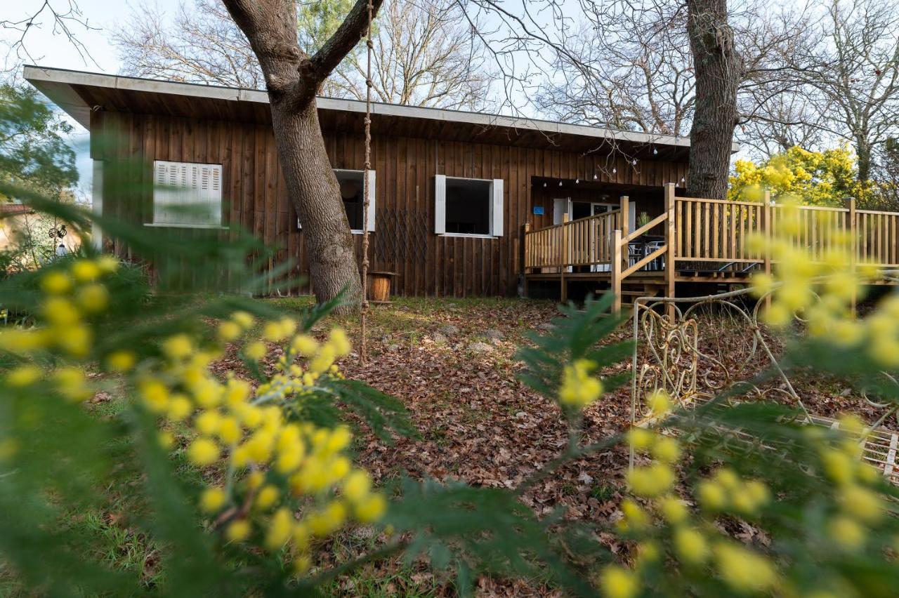 La Petite Maison Du Lac Biscarrosse Esterno foto